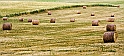 Tramatza (Oristano) - (40D_7090_1rid)